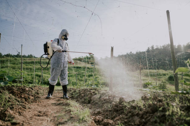 Best Pest Removal Services  in Trexlertown, PA
