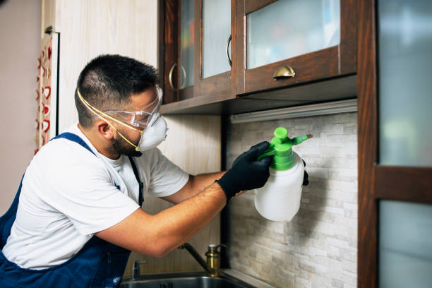 Best Residential Pest Control  in Trexlertown, PA