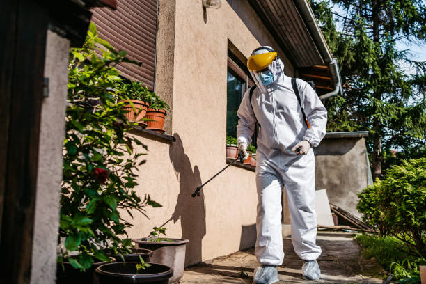 Best Cockroach Control Services  in Trexlertown, PA