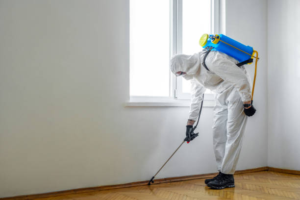 Best Flea Control Services  in Trexlertown, PA