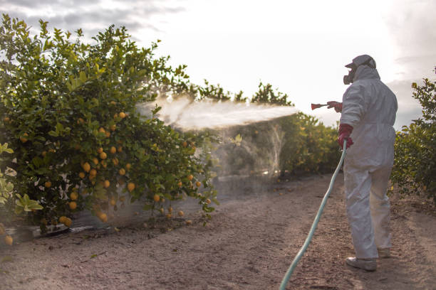 Best Emergency Pest Control  in Trexlertown, PA