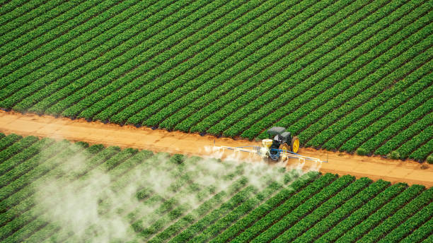 Best Pest Removal Services  in Trexlertown, PA