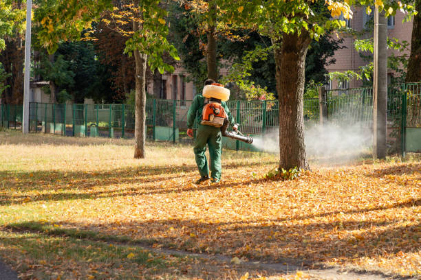 Best Pest Control for Homes  in Trexlertown, PA