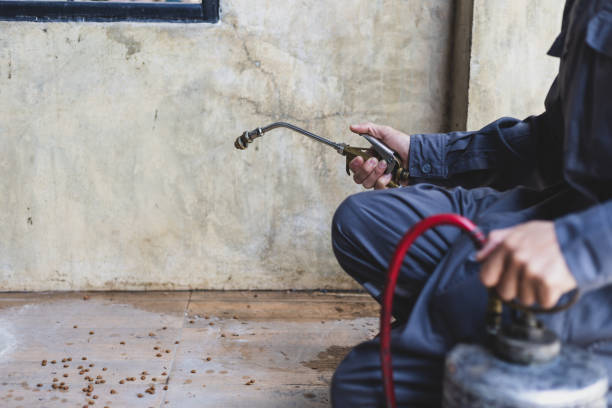 Best Termite Control Services  in Trexlertown, PA